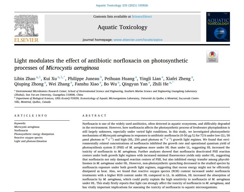 Light modulates the effect of antibiotic norfloxacin on photosynthetic  processes of Microcystis aeruginosa 